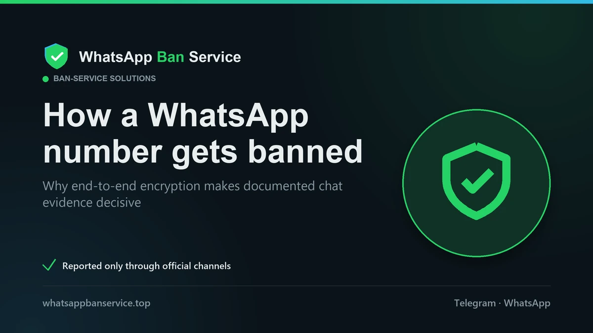 How WhatsApp decides a ban server-side from a number's behaviour, so no bot can ban any WhatsApp number on demand